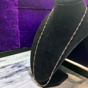 Silver Reflections Silver Plated Twisted Chain 24 Inch Necklace!